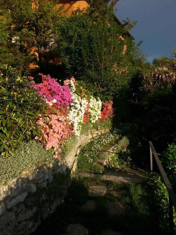 Casa Vacanze Le Violette Villa Brunate Bagian luar foto